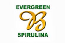 evergreen-219×146